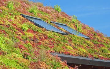 Harpurhey living roof systems