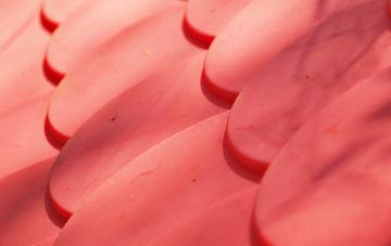 Harpurhey plastic roof costs